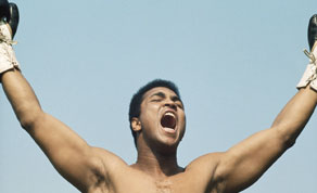 iftn image