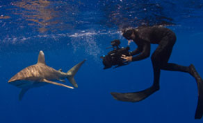 iftn image