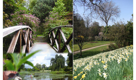  Castle Grouds - Bridge & Gardens