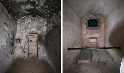  Inside the Cells