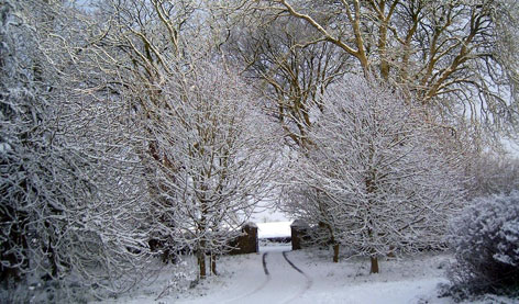  Garden gate in winter