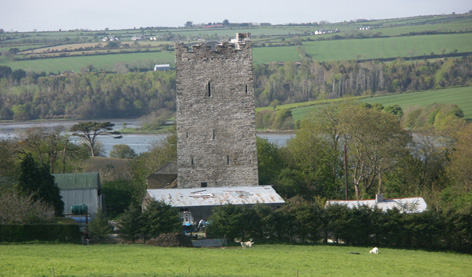  Kilgobbin Castle