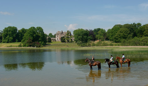  Horses in the lake