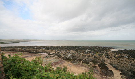  Rock formations at low tide